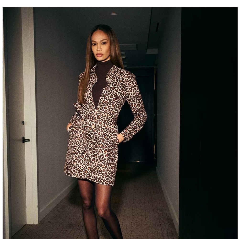 Anne Klein Brown and Black Leopard Print Shirt Dress